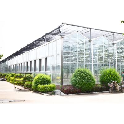 China Stable Structure Easily Assembled Proper Customized Large Commercial Stainless Steel Frame Glass Greenhouse for sale