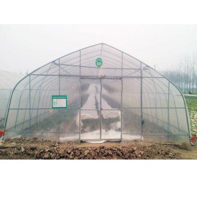 China Stable structure easily assembled low cost single-span agricultural small tunnel greenhouse for sale for sale