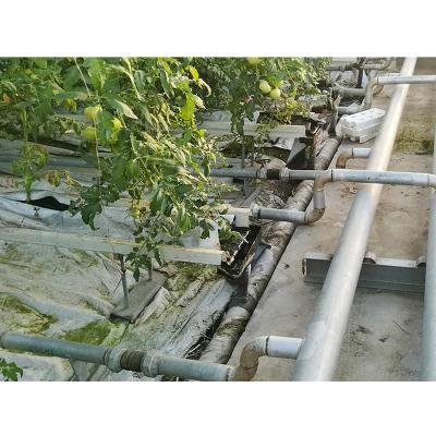 China Stable structure easily assembled hydroponic single-span tomato vegetable greenhouse for agricultural for sale