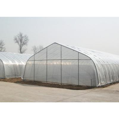 China Stable Structure Easily Assembled High Tunnel Gothic Agriculture Greenhouse Factory Made Poly for sale