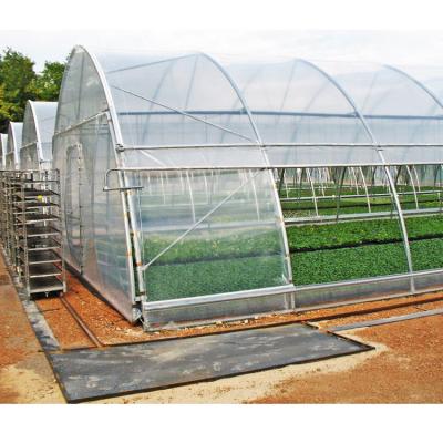 China Stable Structure Easily Assembled Green House Metal Frame Tropical Agricultural Greenhouses for sale