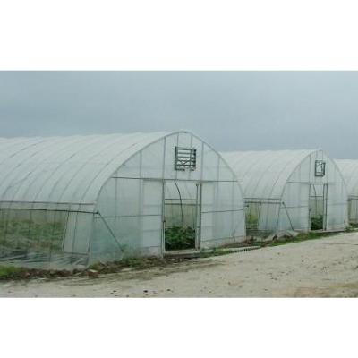 China Stable Structure Easily Assembled Low Cost Commercial Tunnel Greenhouse For Tomato Greenhouse Making Greenhouse Kit for sale