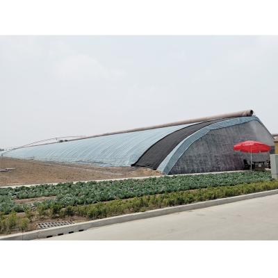 China Stable structure easily assembled single-span chinese tunnel greenhouse invernaderos for sale