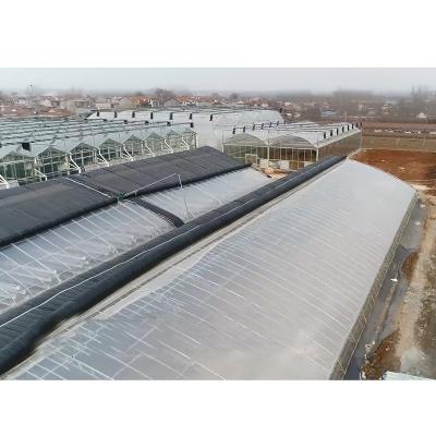 China Stable Structure Easily Assembled Chinese Passive Solar Agricultural Greenhouse Kits Heat Insulation HL for sale