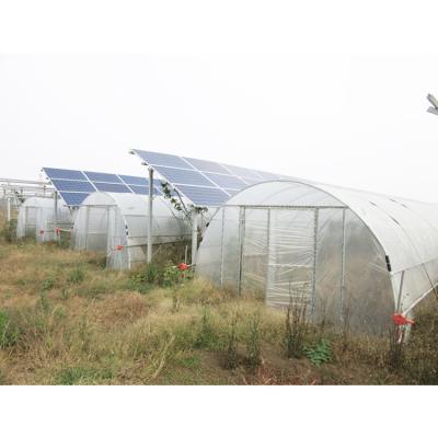 China Heat Insulation Quilt Hot Sale Accept Custom Large Photovoltaic Greenhouse With Photovoltaic System for sale