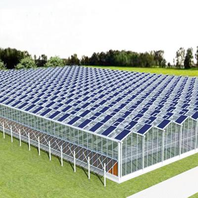 China Professional Thermal Insulation Comforter Supply Exporters Customized Customization Heating Greenhouse Photovoltaic System With Photovoltaic Batteries for sale