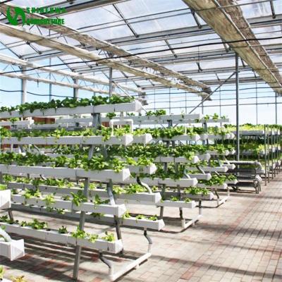 China Vegetable Fruits Flowers NFT Gutter Greenhouse Growing Industrial Hydroponic System for sale