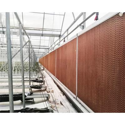 China Farms Cellulose Paper Cooling Pad For Greenhouse Cooling for sale