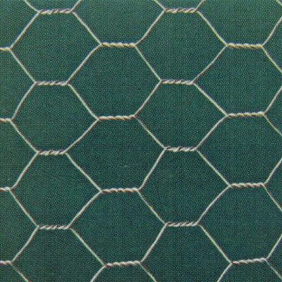 China Strong And Flexible Strong And Flexible Wire Chicken /Bird Cage Mesh Hexagonal /Galvanized Wire Netting (ISO9001) for sale