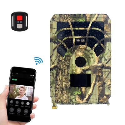 China PR300 WIFI APP Remote Monitor Wifi Trail Camera 24MP 1296P Wildlife Hunting Camera Infrared Trap for sale