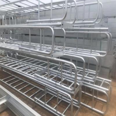 China Industrial Hot DIP Galvanized Handrail Rack Steel Structure Post for sale