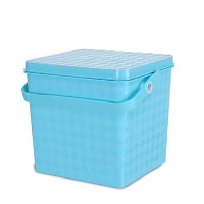 China Plastic Picnic Storage Basket Storage Basket With Lid Large Plastic Storage Basket for sale