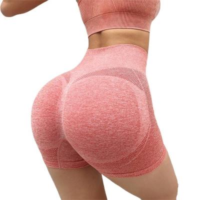 China Breathable Women Fashion Sexy Seamless Yoga Shorts High Waisted Quick Dry Stretch Tight Fitness Pants for sale