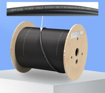 China Outdoor Fiber Optic Cable Outdoor Singlemode Overhead Armored Gyxtw 2 4 6 8 12 24 Core for sale