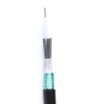 China Anti Rodent Fiber Optic Cable Durable GYXTS 6 12 Core Fiber Optical Cable For Outdoor for sale