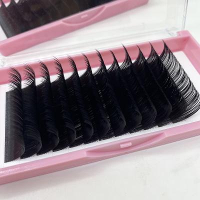 China Premium 3D Mink Volume Lashes extension in mink silk eyelash/individual soft curl strands qclashes C cc D double density silk for sale