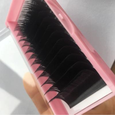 China Mink Silk Lash Trays/Professional Private Label Silk 0.15mm 25mm Lash Extensions Individual Eyelash Extension from las supplier for sale