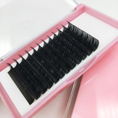 China Natural Korean Long Flat Lash Professional Eyelash Extension Mink Ellipse Lash Trays Supplies Volume Cashmere for sale