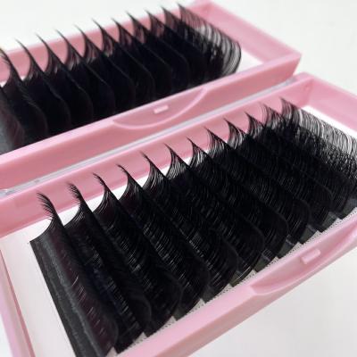 China Premium mink/silk extension supplies lashes tray private label volume lashes lashextensions different cashmere mink eyelash extensions for sale