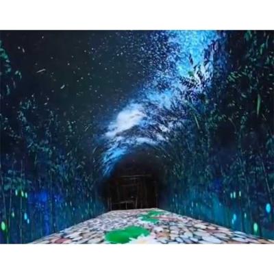 China Creative Arched Scenic Spot Time Tunnel P2 P3 P4 Sky Starfish Curve Time Tunnel Display Screen In Playground for sale