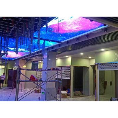 China P2 P3 Indoor Commercial Pedestrian Street Led Sky Display Screen Of Biological Fishes In The Underwater World for sale