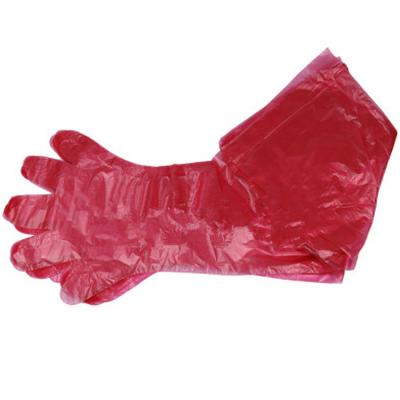 China Disposable water proof glove long 35 in. 100 Length Per Box Soft Plastic Film Boer Goats Gloves for sale