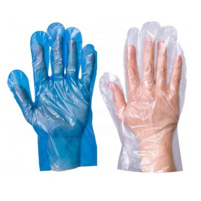 China Poly Clear Transparent Kitchen Cleaning Household Use PE Civil Protective Hand Food Cleaning LDPE Thick Disposable Gloves 1.0-2.0g for sale