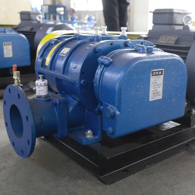 China Industrial Blower Hot Sale In China Roots Vacuum Pump High Speed ​​Centrifugal Inflatable Fan Blower for sale