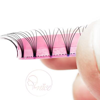 China Top quality russian volume eyelash extensions short stem lashes group pre made lashes for professional salon use the 12 black lines for sale