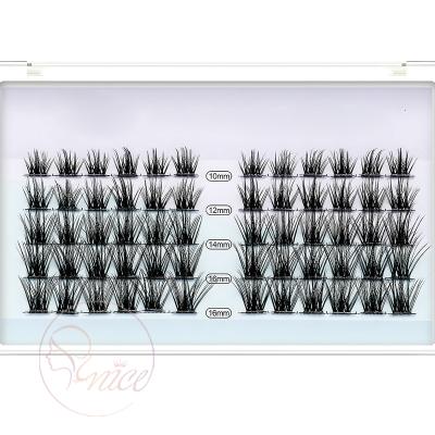 China Mix Good Quality Group Volume Beam Russian Eyelashes Segments DIY Natural Eyelashes Segment Lashes Boxes Custom Logo for sale