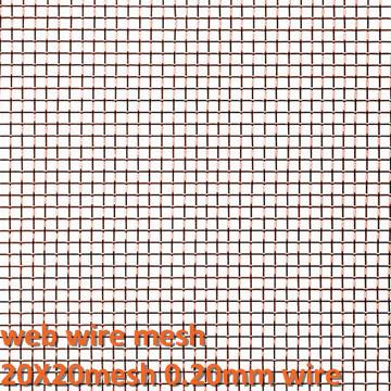 China High Thermal And Electrical Conductivity 20X20mesh 0.2mm Woven Wire Mesh And Copper Wire Cloth for sale