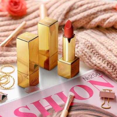 China OULAC Colorplay Vegen Waterproof Makeup Wholesales Metallic Shine Matte Lipstick Lasting 24 Hours for sale