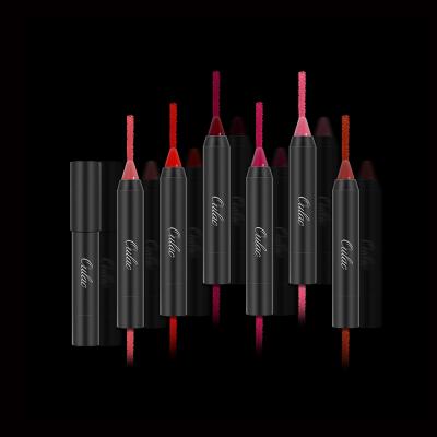 China OULAC Problack Makeup Artist Waterproof Lip Cosmetics Professional Lip Pencil Color Shine Lip Pencil for sale