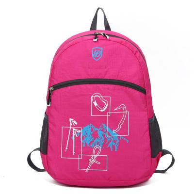 China stylish foldable backpack pink colorful wholesale backpacks for travel for sale