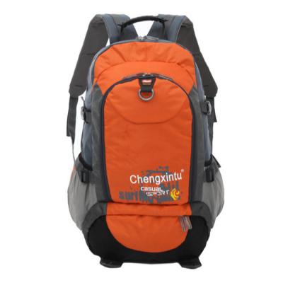 China Mountaineering Backpack laptop backpacks mochilas para laptop рюкзаки для ноутбуков for sale