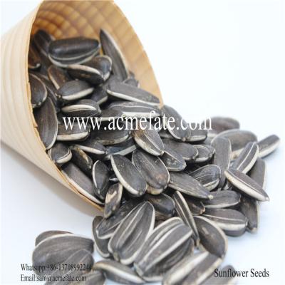 China Dry Wholesale Raw Chinese Sunflower Seeds for sale