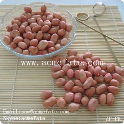 China Fresh New Crop Peanut Red Skin Peanut Kernel for sale