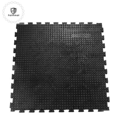 China Non-Toxic Horse Stall Mat EVA Foam Interlocking Stable Rubber Mat for sale