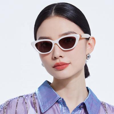 China Cat Eye 2023 Fashion Designer Brand Eyewear Outdoor Party UV400 Tr90 Cat Eye Frame Black White Oversized Women Sunglasses for sale