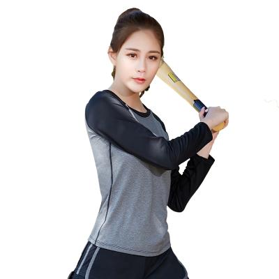 China Korean Wholesale Activewear Gym Shirts Hot Sale Breathable Long Sleeve Sports Tops Quick Dry Women Long Sleeve T Shirt For Yoga for sale