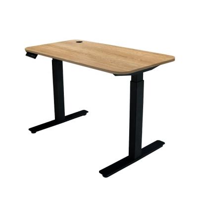 China (Height)Adjustable Hot Selling Intelligently Designed Electric Adjustable Table Height Stand Computer Desk for sale