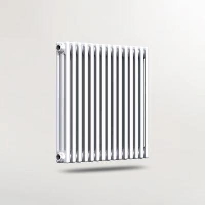 China Sale Designer Home Heating System Wall Mount Room Radiators Traditional Online Heater Heater Radiator For Heating for sale