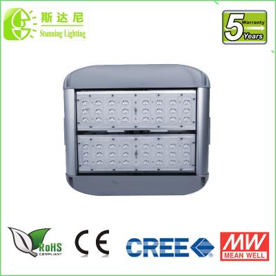 China High intensity High Power LED Flood Lights 100w 60HZ industrial led outdoor light for sale