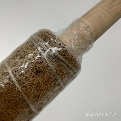 China 40Cm Eco-Friendly Restackable Moss Transparent Pole Pva Bendable for sale