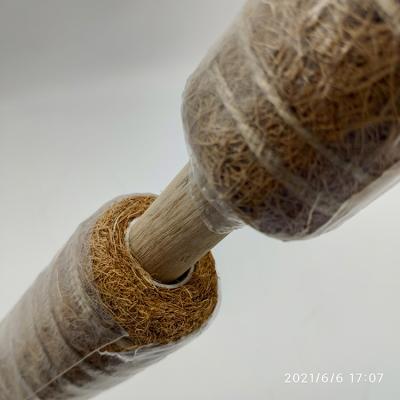 China 30Cm Small Eco-Friendly Moss Pole 26 Pva for sale