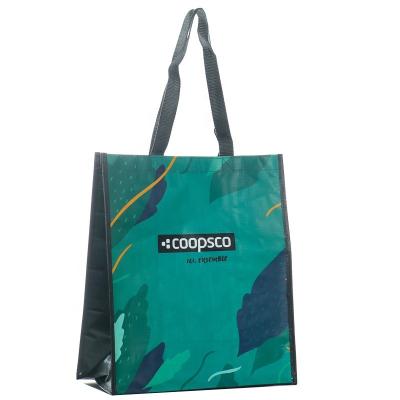 China Handled Laminated Non Woven Logo Recycled Eco-Friendly Recyclable Rectangular Bag Custom Portable Supermarket Shopping Bag for sale