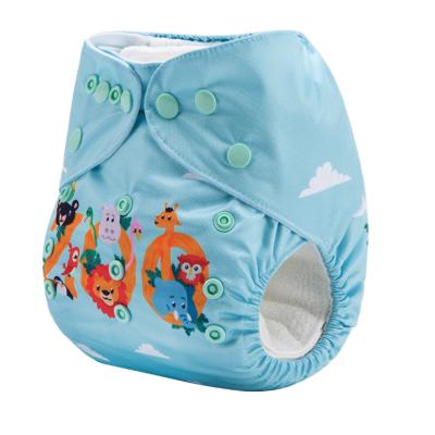 China Ananbaby Embroidered Reusable Reusable Cloth Diapers Baby Cloth Diaper Cover Baby Diaper Cover for sale