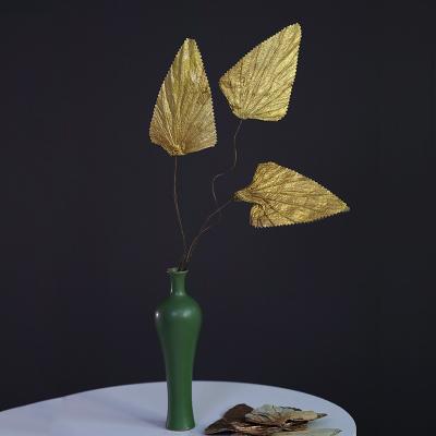 China Christmas Wedding Family Decorations Wholesale gold and silver dried lotus leaves real leaves living room decoration dried lotus leaves for sale