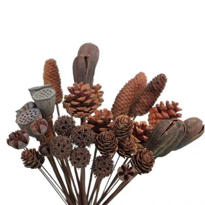 China Christmas Wedding Family Decorations Natural crafts bulk Christmas tree decoration pine cones long pine cones scaly Pine cones wholesale for sale