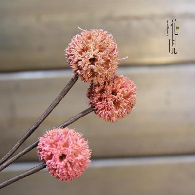 China Christmas Wedding Family Decorations 1cm mini pink maple Fruit Passepartout art small fresh Dried flower art layout DIY shooting supplies wholesale for sale